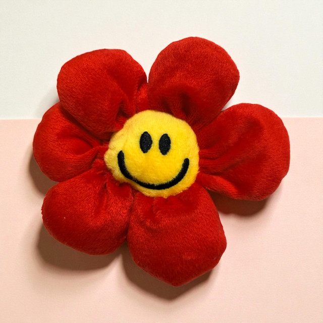 微笑大花-紅