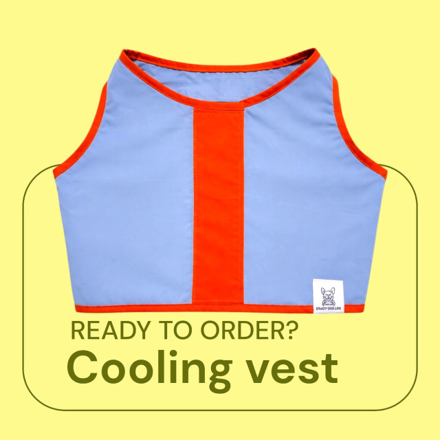 夏日雲朵A0背心 M/L 